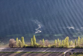 Shore of Lake Constance in spring, pollen floating in the water, aerial view from a zeppelin,