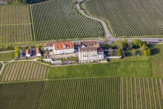 Zeppelin flight along the shore of Lake Constance, aerial view, Kirchberg Castle with vineyards,