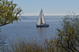 Private sailing boat on the Rio de la Plata off Buenos Aires, Argentina, South America