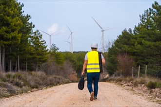 Rear view of a mature caucasian male worker walking along a path in a green energy park with wind
