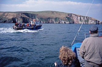 Dolphin tour, people, tour boat, Dingle, Dingle Peninsula, Republic of Ireland, April 1996,