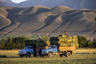 Farmers with two lorries harvesting hay bales, Kyrgyzstan, Asia
