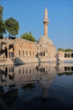 Abraham's Pool where the prophet was thrown into fire by King Nimrod, Sanliurfa, Turkey, Asia