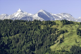View of the Grossglockner, alpine meadow with forest, blue sky, mountains with snow, Pongau,