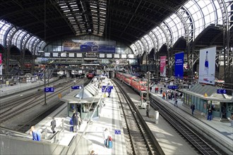 Hamburg Central Station, Hamburg, Germany, Europe, Crowd of travellers and trains at the tracks of