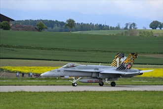 Swiss Air Force squadron aircraft J-5011 of the type McDonnell Douglas FA 18C Hornet with tiger