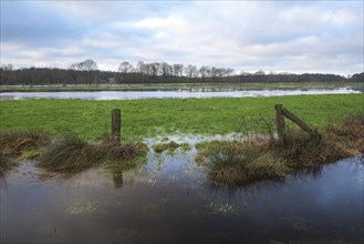 Flooded wet meadows in winter, Dingdener Heide nature reserve, North Rhine-Westphalia, Germany,