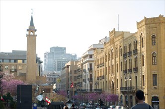 Center of Beirut, capital of Lebanon, tree and classical architecture and characteristic of the