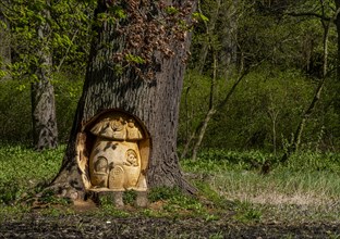 Wood carving in a tree trunk, park in Putbus, Ruegen, Mecklenburg-Vorpommern, Germany, Europe