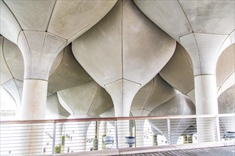 View of the supporting columns from below: Little Island at Pier 55, an artificial island park in