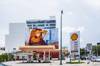 Shell, 401 SW 8th St, Little Havana, Miami, Florida, USA, North America