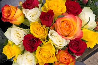 Colourful bouquet of roses in sales display with roses in colour yellow white red purple orange