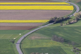 Winding country road, agricultural fields with blooming Rape, Bissingen an der Teck,