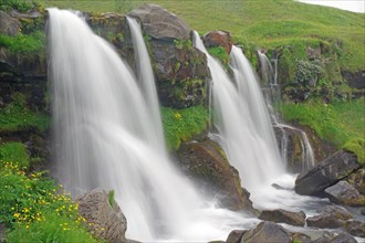 Small waterfall in a green landscape, south coast, Iceland, Europe