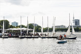 Sailboats, Summer, Outer Alster Lake, Hamburg, Northern Germany, Germany, Europe