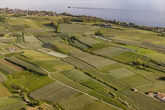 Zeppelin flight along the shore of Lake Constance in spring, aerial view, blossoming Grape vines in