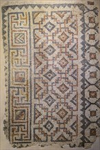 Zeugma mosaic Museum, Gaziantep, Turkey, Asia