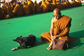 Buddhist monk, meditation, sleeping dog, Mahabodhi buddhist temple, Bodhgaya, India, Asia