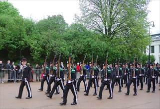 The Royal Guard marches to the castle on National Day, 17 May, Oslo, Norway, Europe
