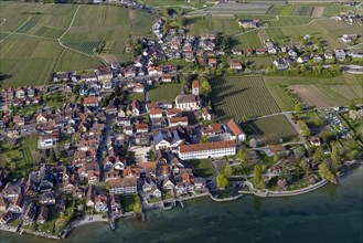 Zeppelin flight over the shore of Lake Constance, vineyards and church, aerial view, Hagnau,