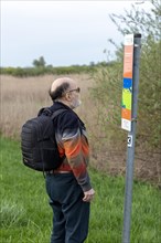 Elderly man reading information sign, information board, Elbtalaue near Bleckede, Lower Saxony,