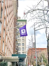 New York University, Manhattan, New York City