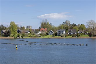 Herringszaun, Oat, Kappeln, Schlei, Schleswig-Holstein, Germany, Europe