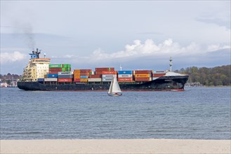 Container ship, sailing boat, Falckensteiner Strand, Kiel Fjord, Kiel, Schleswig-Holstein, Germany,