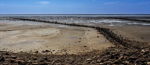 North Sea, Wadden Sea, at low tide, Sankt-Peter Ording, Schleswig-Holstein, Germany, Europe