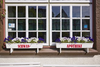 Window with flower boxes of the Swan pharmacy in the city centre of Husum, Nordfriesland district,