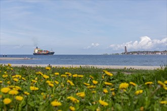 Container ship, flowers, Falckensteiner Strand, naval memorial, Laboe, Kiel Fjord, Kiel,