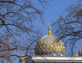 Roof dome of the Jewish Synagogue, Oranienburger Strasse, Berlin, Germany, Europe