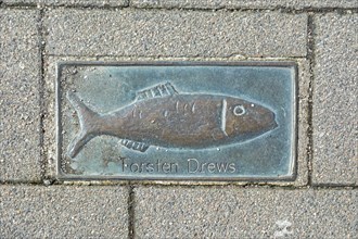 Bronze Clupeidae, pavement, Torsten Drews, harbour, Kappeln, Schlei, Schleswig-Holstein, Germany,
