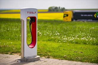 Truck, lorry, lorry drives past Tesla Supercharger in front of rapeseed field, logo, charging