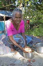 Indian woman, 78 years old, squatting on the floor and washing cassava roots, Kavanattinkara,