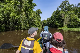 Tourists in a rowing boat on the Tortuguero River, watching animals in the rainforest, Tortuguero