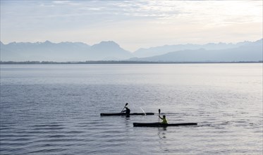 Kayakers paddling in Lake Constance in the evening light, snow-covered mountain peaks, Lindau