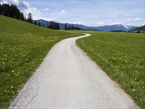 Path leads through green meadows, Salzkammergut cycle path, cloudy mood over mountain peaks, near