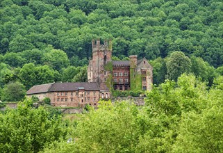 Mittelburg, four-castle town of Neckarsteinach, Baden-Wuerttemberg, Germany, Europe