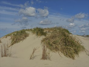 A sand dune with tufts of grass under a blue sky with clouds, clouds on the beach with dunes by the