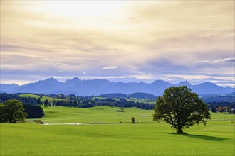 At the Egg viewpoint, in the background Ammergau and Allgaeu Alps, Steingaden, Upper Bavaria.
