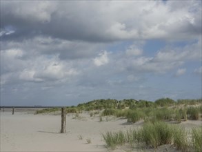 Beach with dunes, grass and an old wooden post under a cloudy sky, lonely beach with dune grass in