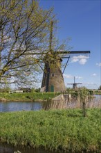 A windmill next to a tree on a sunny spring day with a clear blue sky, many historic windmills by a