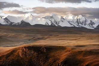 Glaciated and snow-covered mountains, autumnal plateau with yellow grass in the morning light, Tian