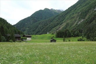 Umbaltal, Hohe Tauern National Park, East Tyrol, Austria, Europe