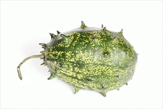 African horned melon (Cucumis metuliferus), fruit on white background