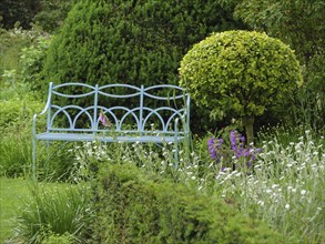 Metal garden bench in a green garden, surrounded by shrubs, bushes and blooming purple and white