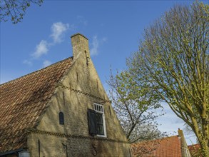 An old brick house with a red tiled roof and a large tree under a clear blue sky, historic houses