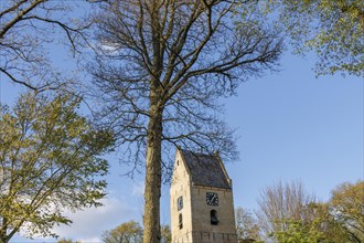 Historic tower with clock windows under a large tree and blue sky, old houses and small streets