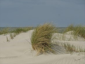 Grassy sand dunes and the sea in the background, with a cloudy blue sky above, dunes by the sea